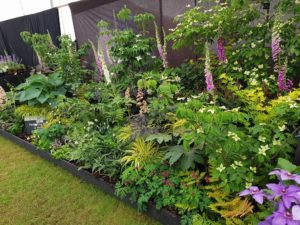 The Suffolk Show 2017