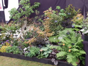 The Suffolk Show 2015