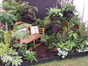 Sandringham Flower Show 2016