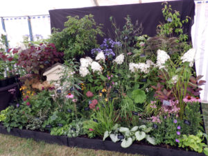 Sandringham Flower Show 2014