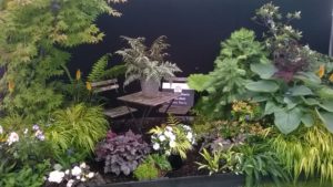 Sandringham Flower Show 2017