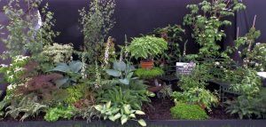 The Suffolk Show display 2018