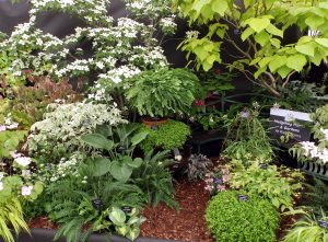 Gardeners World live display 2018
